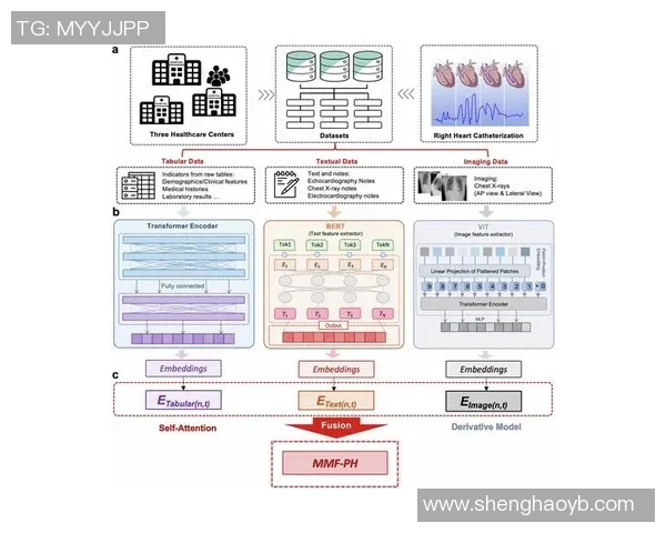 探索奥蓬达的魅力与历史深度，揭示其在当代文化中的重要地位与影响